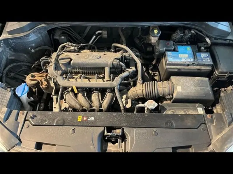 Kia Stonic usata a Firenze (13)