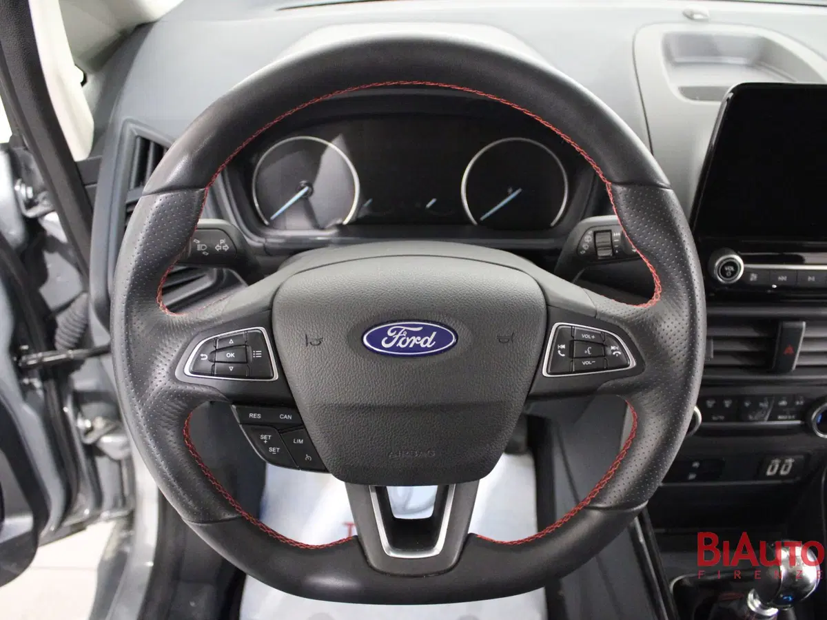 Ford EcoSport usata a Firenze (10)