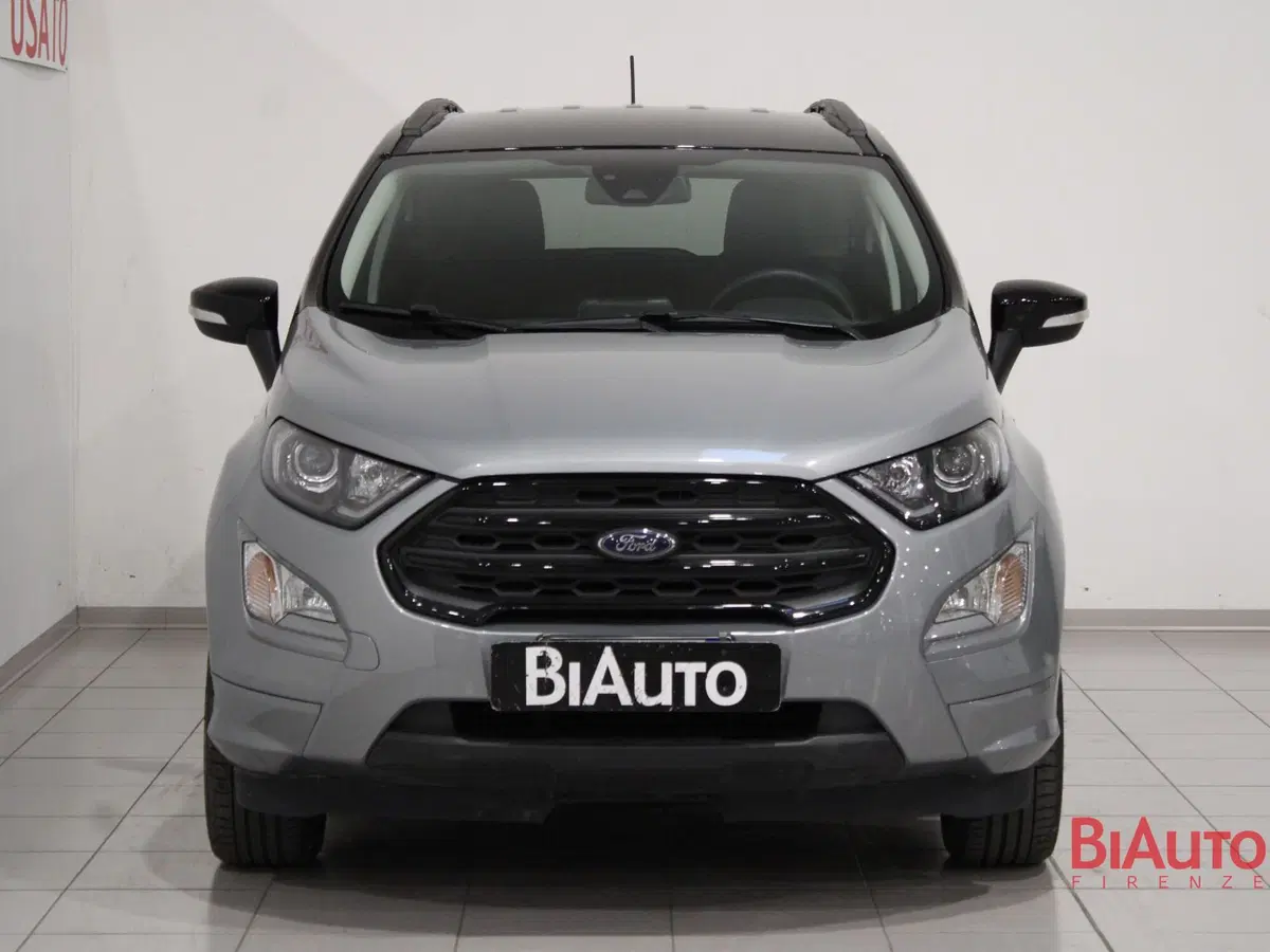 Ford EcoSport usata a Firenze (3)