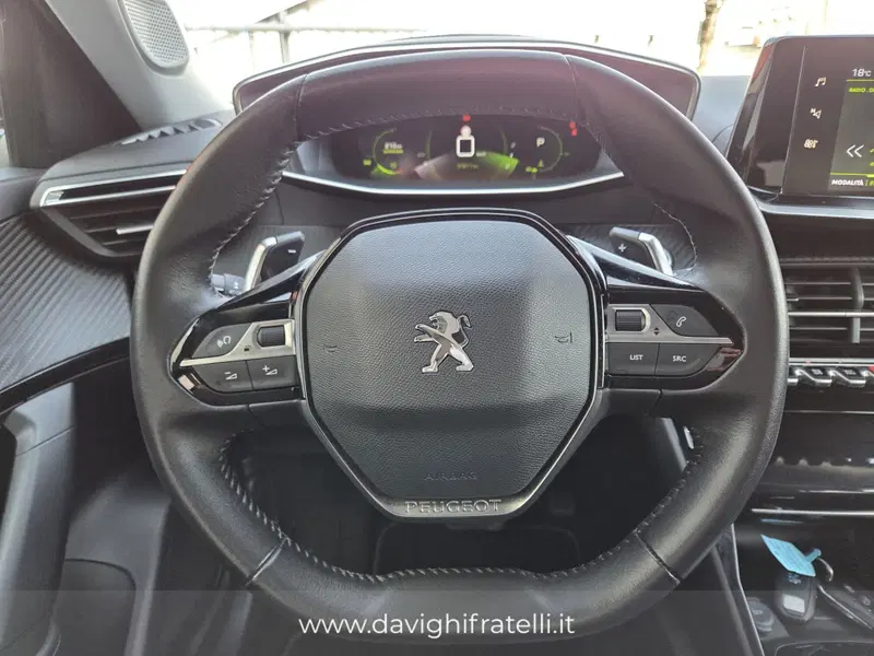 Peugeot 2008 usata a Parma (11)