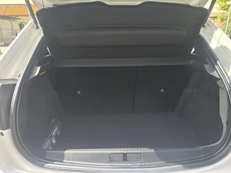 Peugeot 208 usata a Massa-Carrara (12)