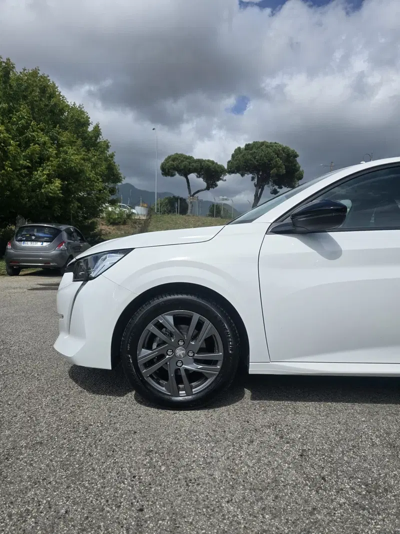 Peugeot 208 usata a Massa-Carrara (15)