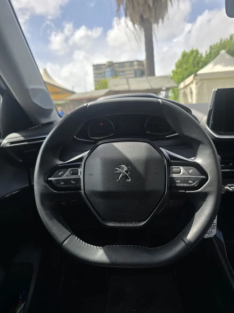 Peugeot 208 usata a Massa-Carrara (18)