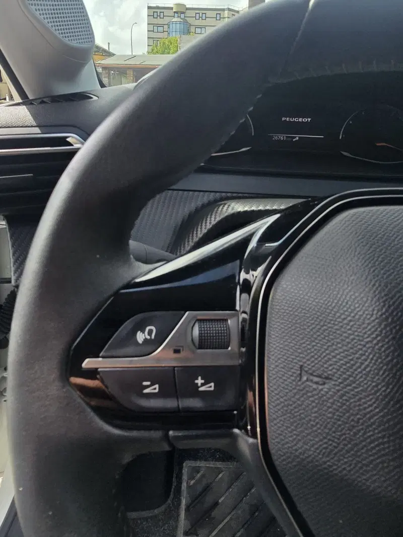 Peugeot 208 usata a Massa-Carrara (19)