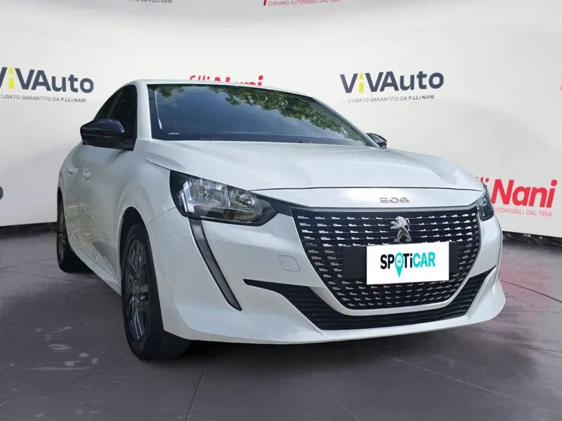 Peugeot 208 usata a Massa-Carrara (8)