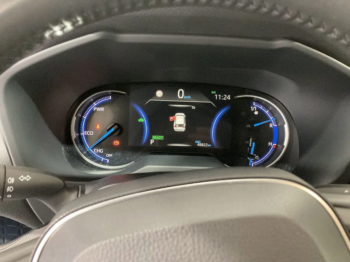 Toyota Rav4 usata a Barletta-Andria-Trani (10)