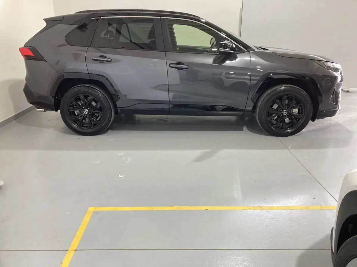 Toyota Rav4 usata a Barletta-Andria-Trani (2)