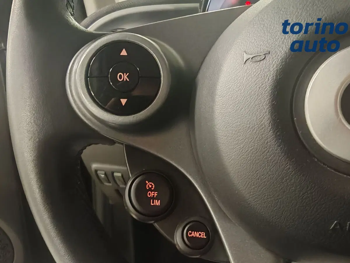 smart Fortwo usata a Torino (10)