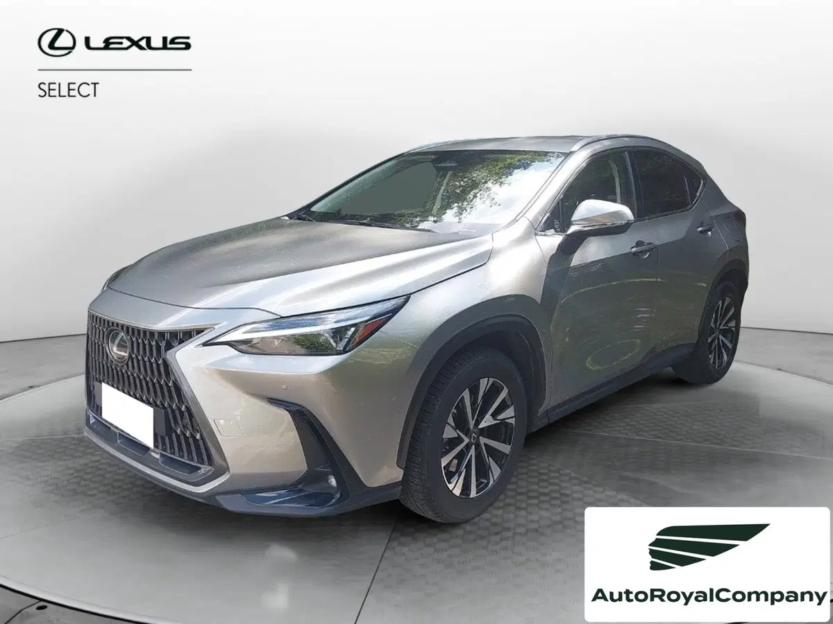 Lexus NX usata a Roma