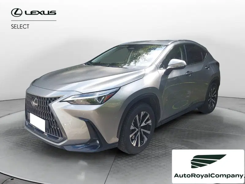 Lexus NX usata a Roma