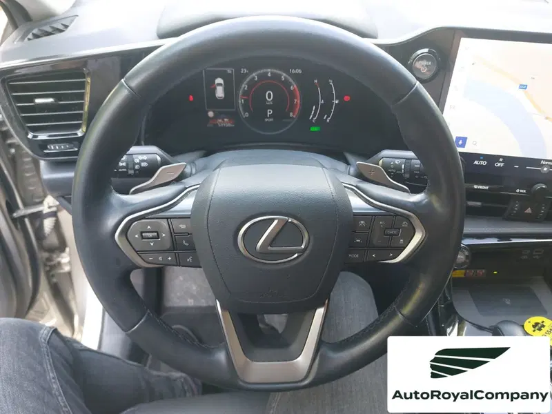 Lexus NX usata a Roma (11)