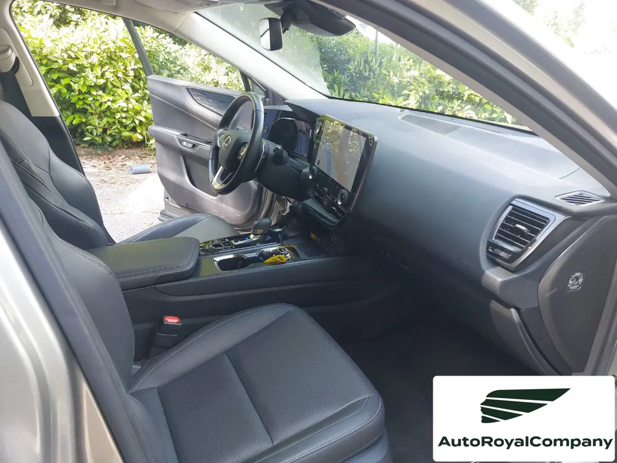 Lexus NX usata a Roma (12)