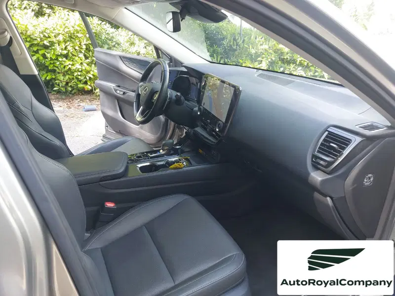 Lexus NX usata a Roma (12)