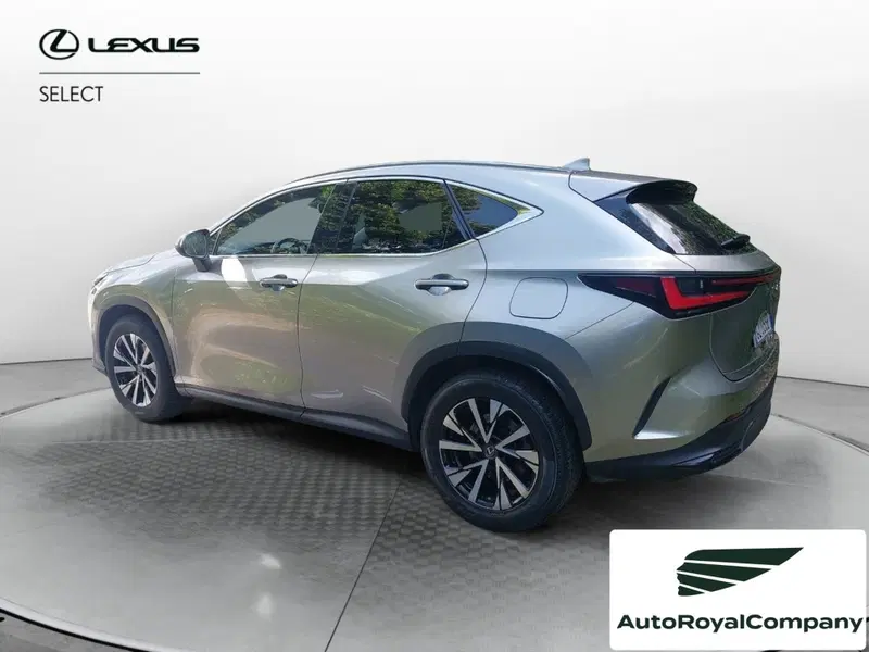 Lexus NX usata a Roma (3)
