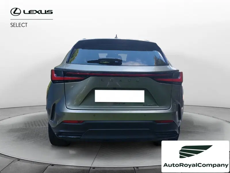 Lexus NX usata a Roma (4)