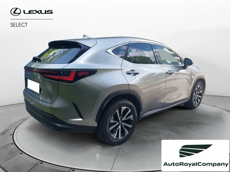 Lexus NX usata a Roma (5)