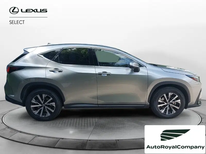 Lexus NX usata a Roma (6)