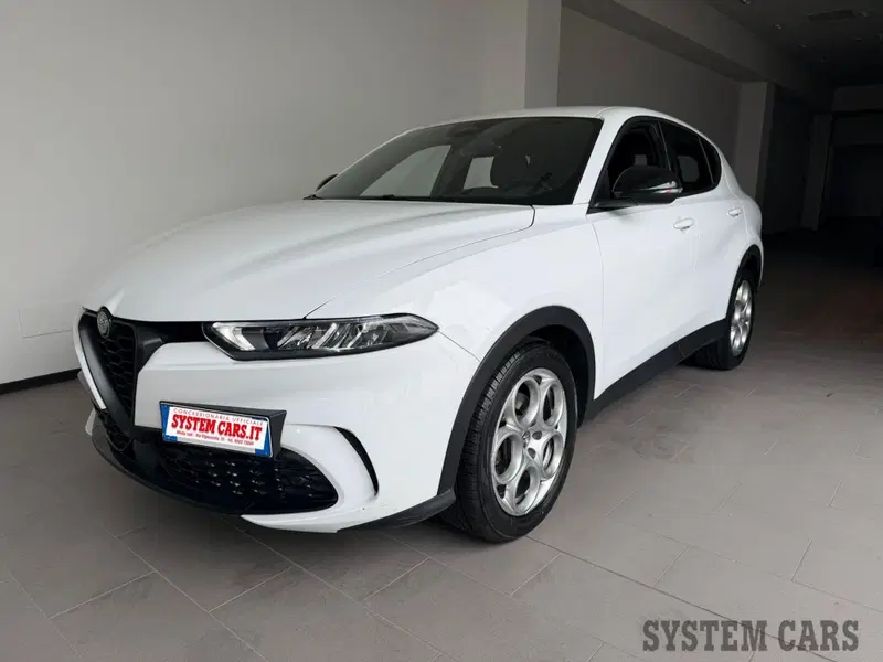 Alfa Romeo Tonale usata a Varese
