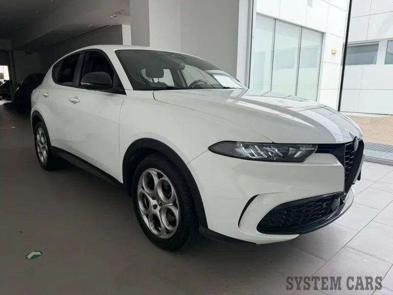 Alfa Romeo Tonale usata a Varese (3)