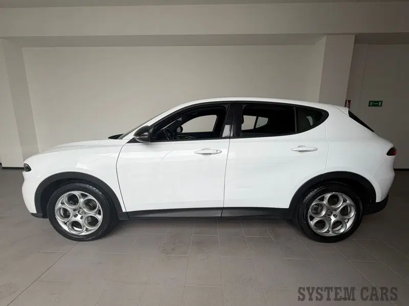 Alfa Romeo Tonale usata a Varese (4)