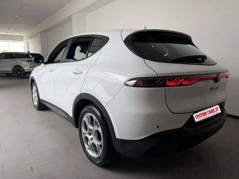 Alfa Romeo Tonale usata a Varese (5)