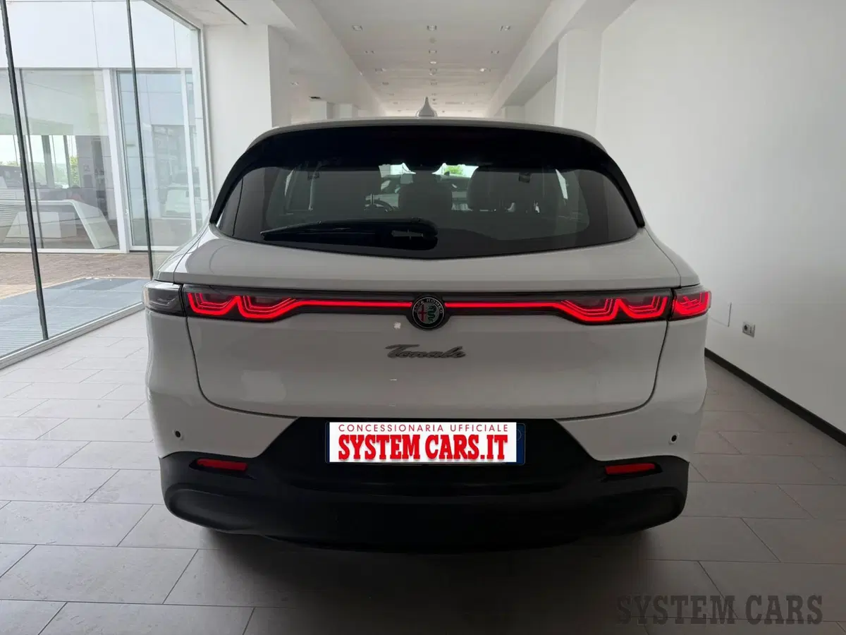 Alfa Romeo Tonale usata a Varese (6)