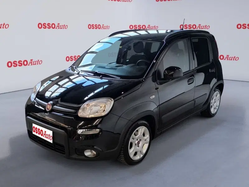 Fiat Panda Cross usata a Udine