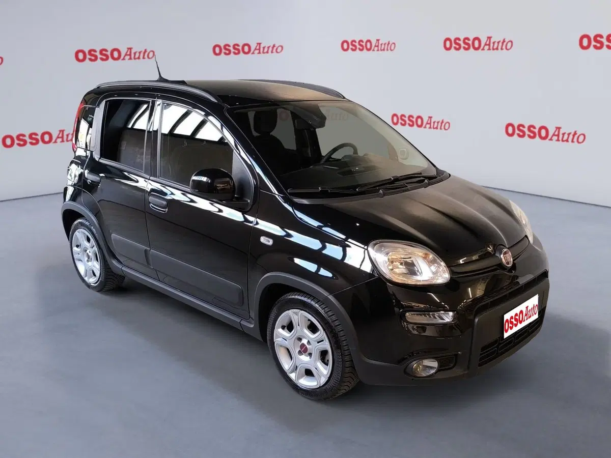 Fiat Panda Cross usata a Udine (2)
