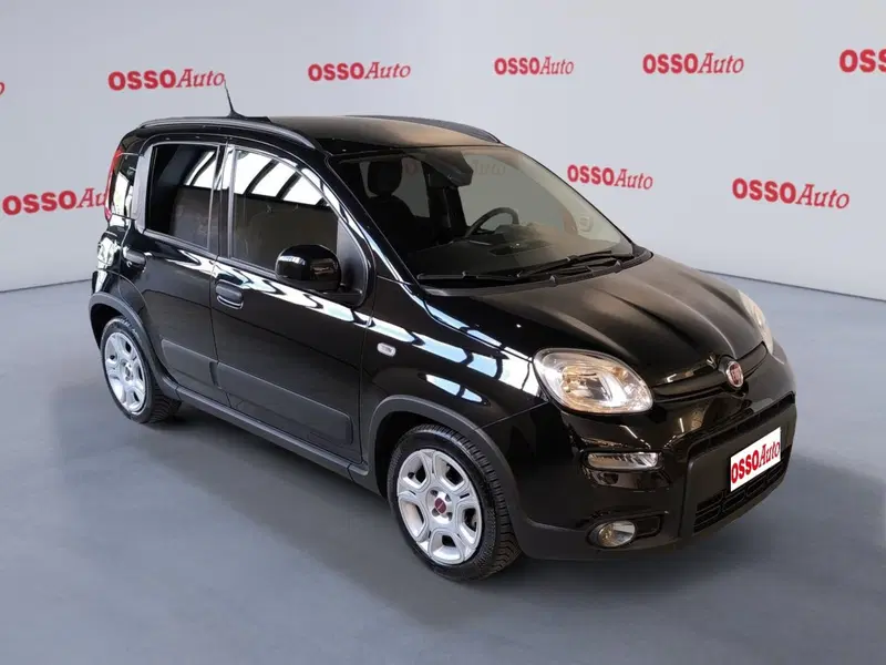 Fiat Panda Cross usata a Udine (2)