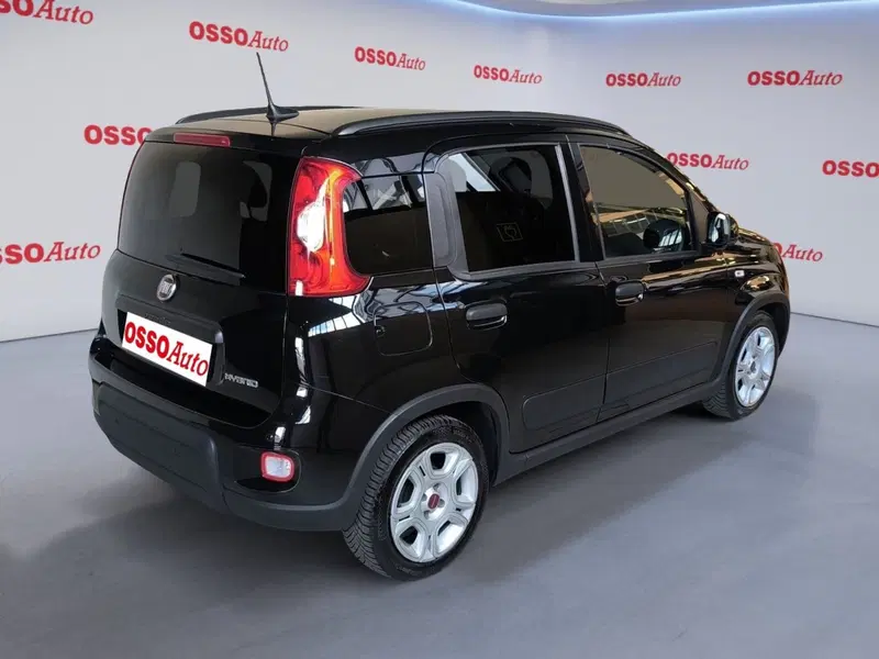 Fiat Panda Cross usata a Udine (3)