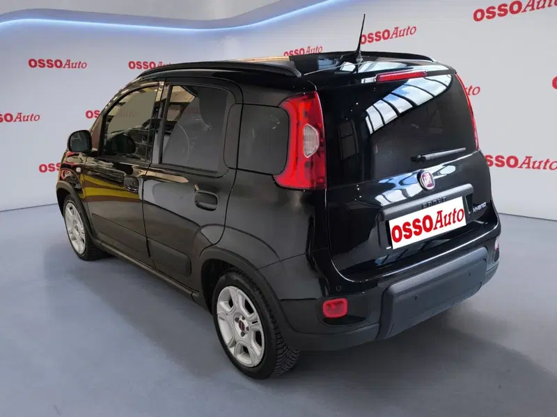 Fiat Panda Cross usata a Udine (4)