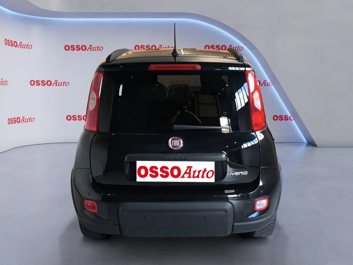 Fiat Panda Cross usata a Udine (6)