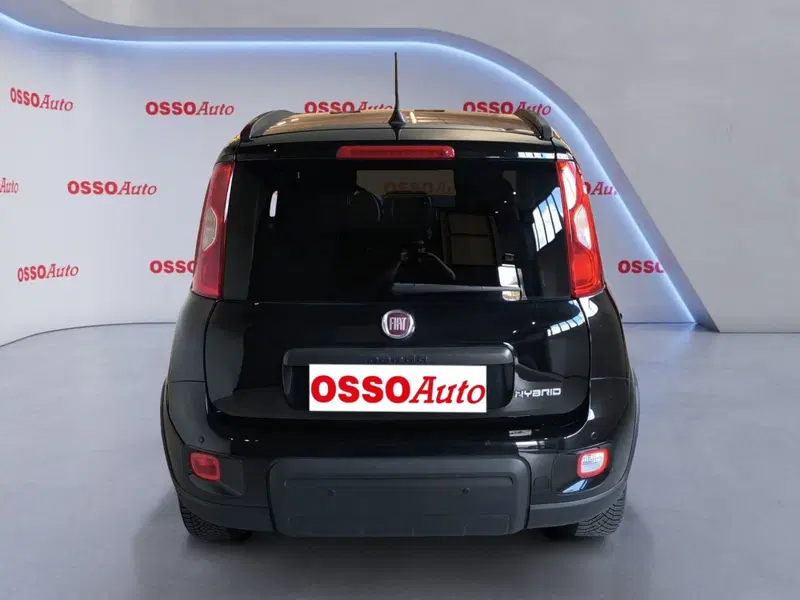 Fiat Panda Cross usata a Udine (6)
