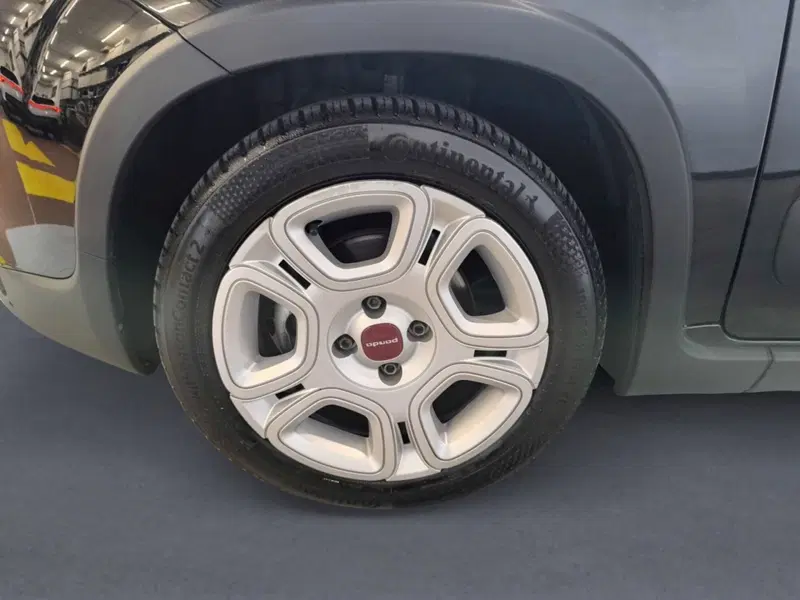 Fiat Panda Cross usata a Udine (7)