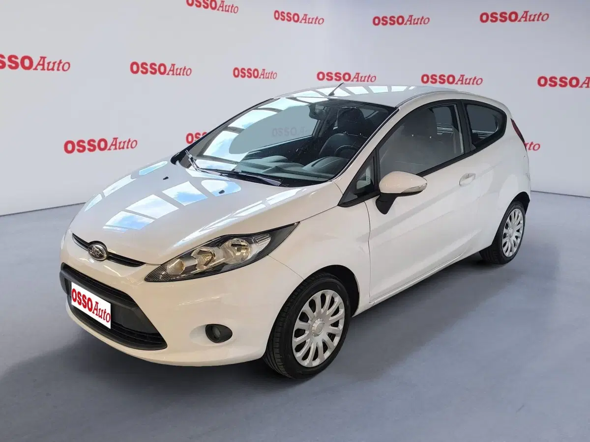Ford Fiesta usata a Udine