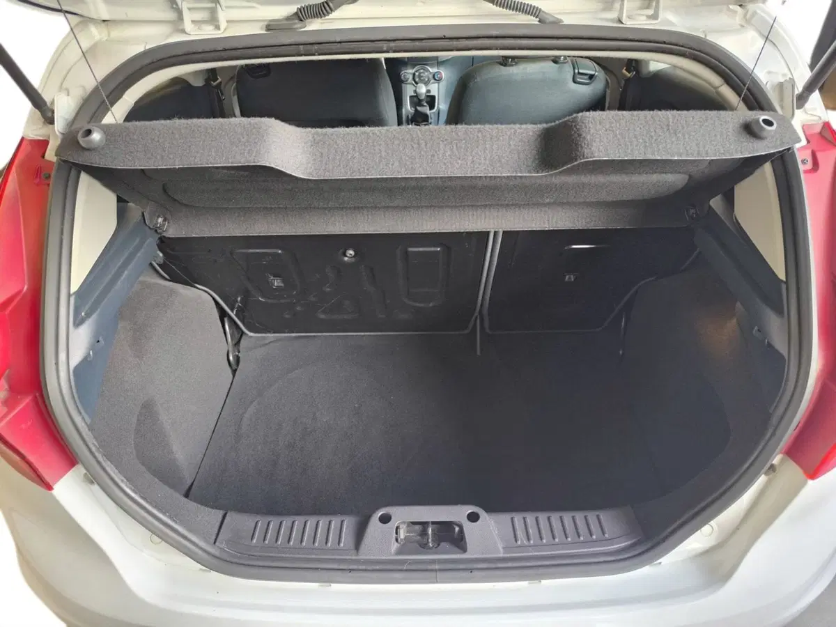 Ford Fiesta usata a Udine (14)