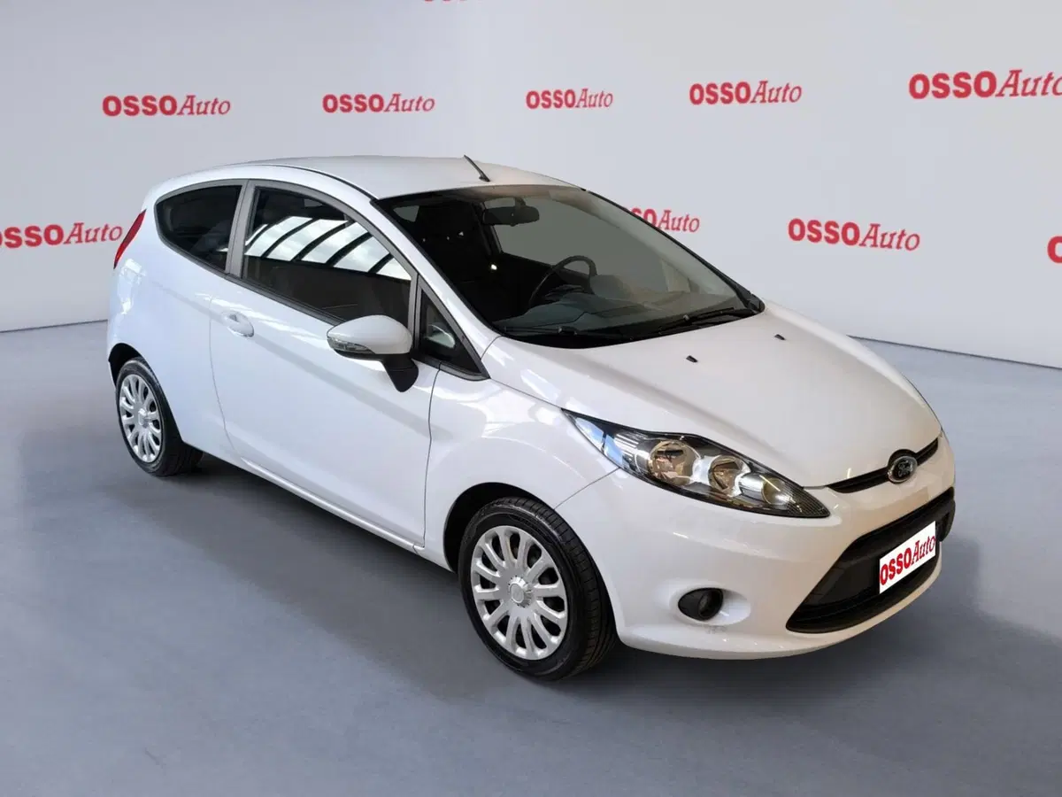 Ford Fiesta usata a Udine (2)