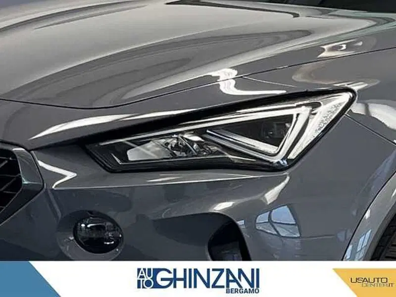 Cupra Formentor usata a Bergamo (15)