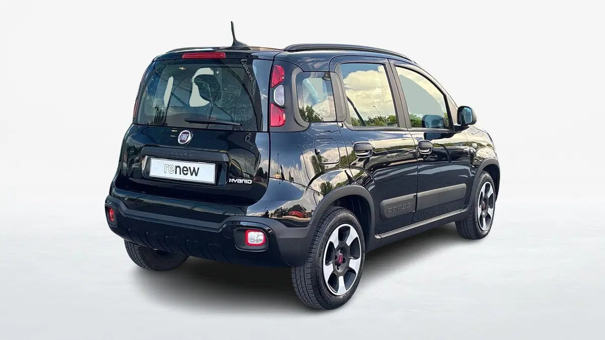 Fiat Panda Cross usata a Padova (2)