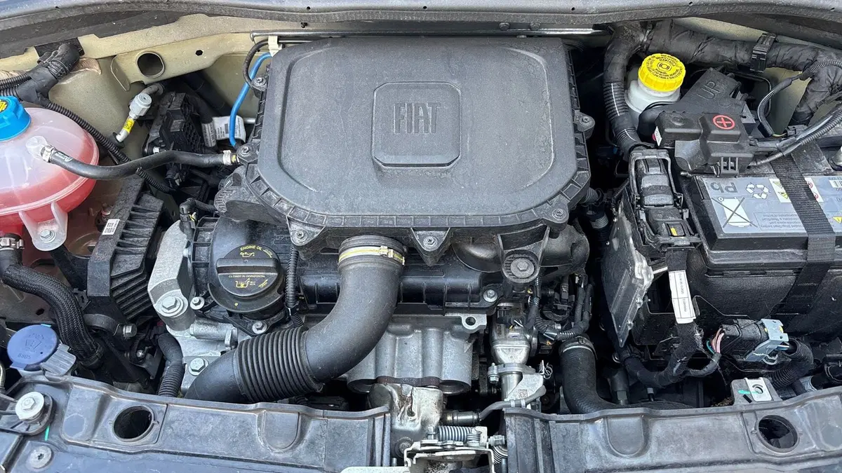 Fiat Panda Cross usata a Padova (20)