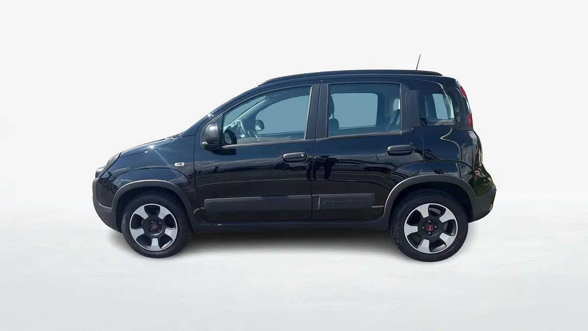 Fiat Panda Cross usata a Padova (3)