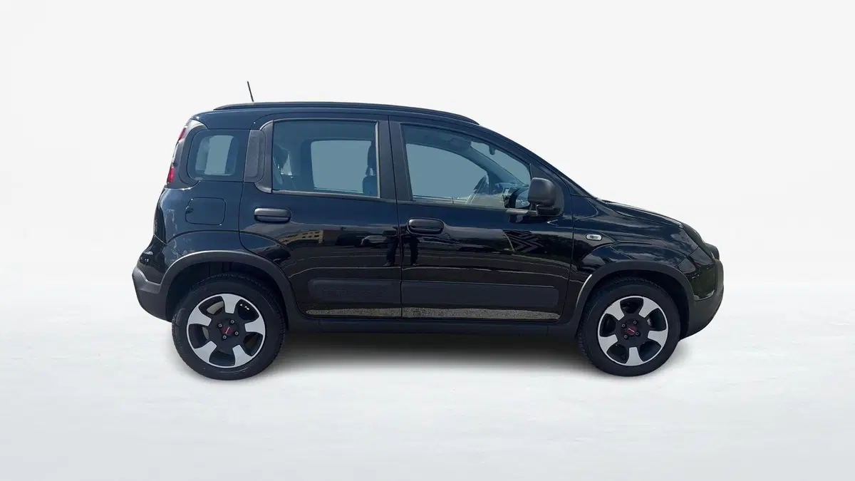 Fiat Panda Cross usata a Padova (4)