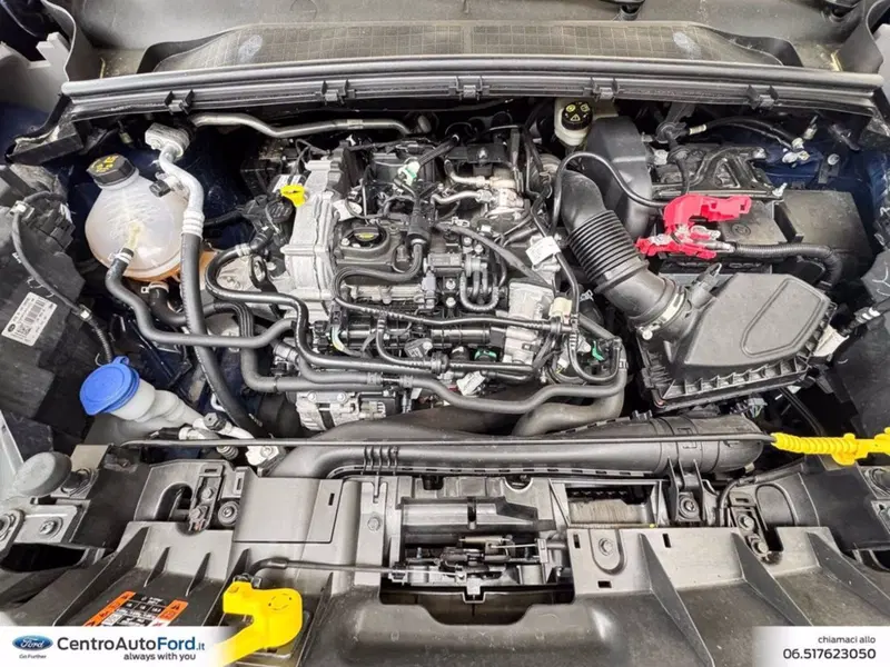 Ford Puma usata a Roma (11)