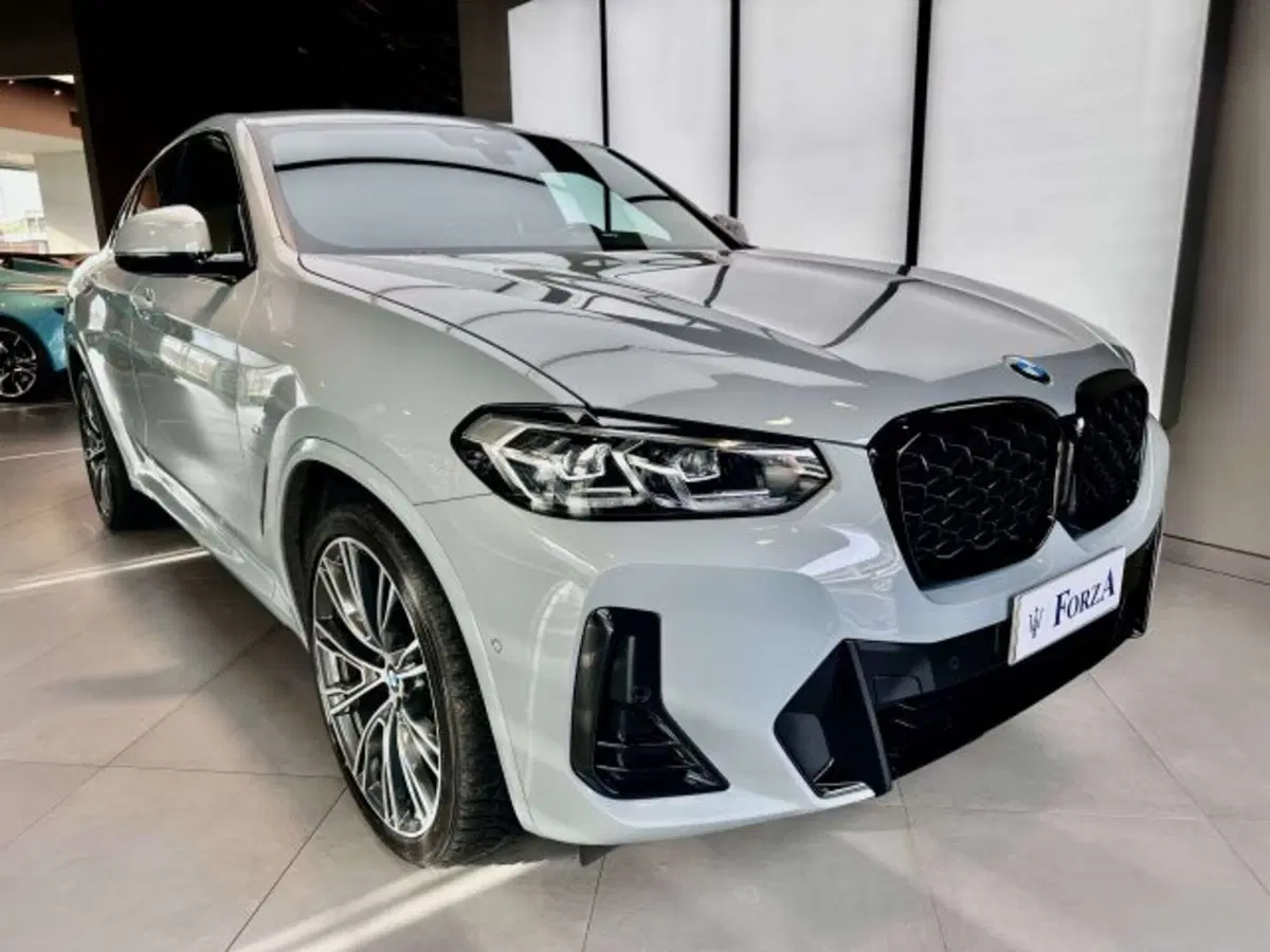 BMW X4 usata a Torino (3)