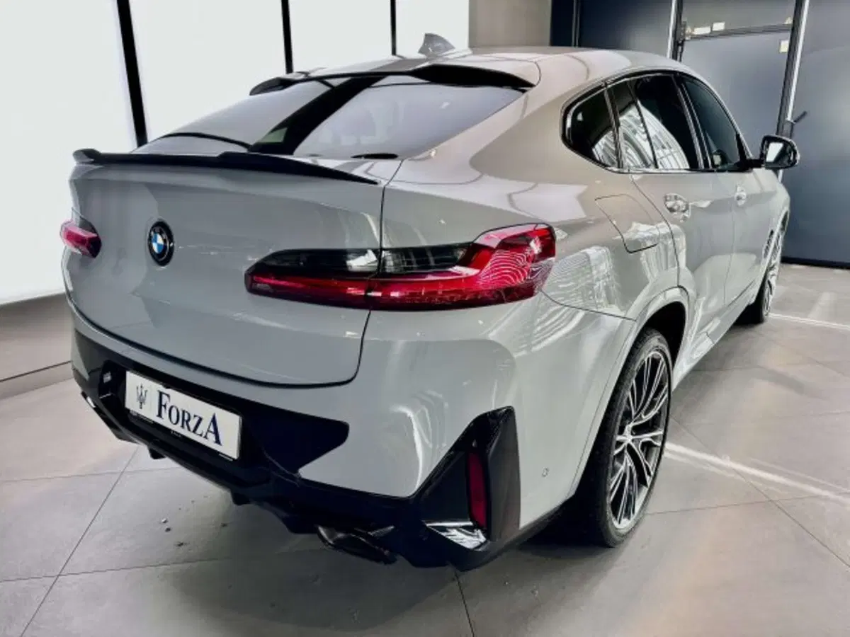 BMW X4 usata a Torino (6)