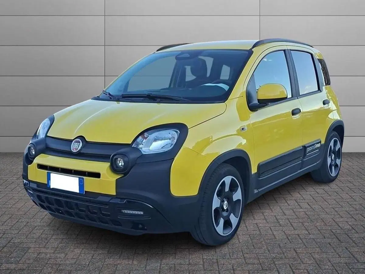Fiat Pandina usata a Torino