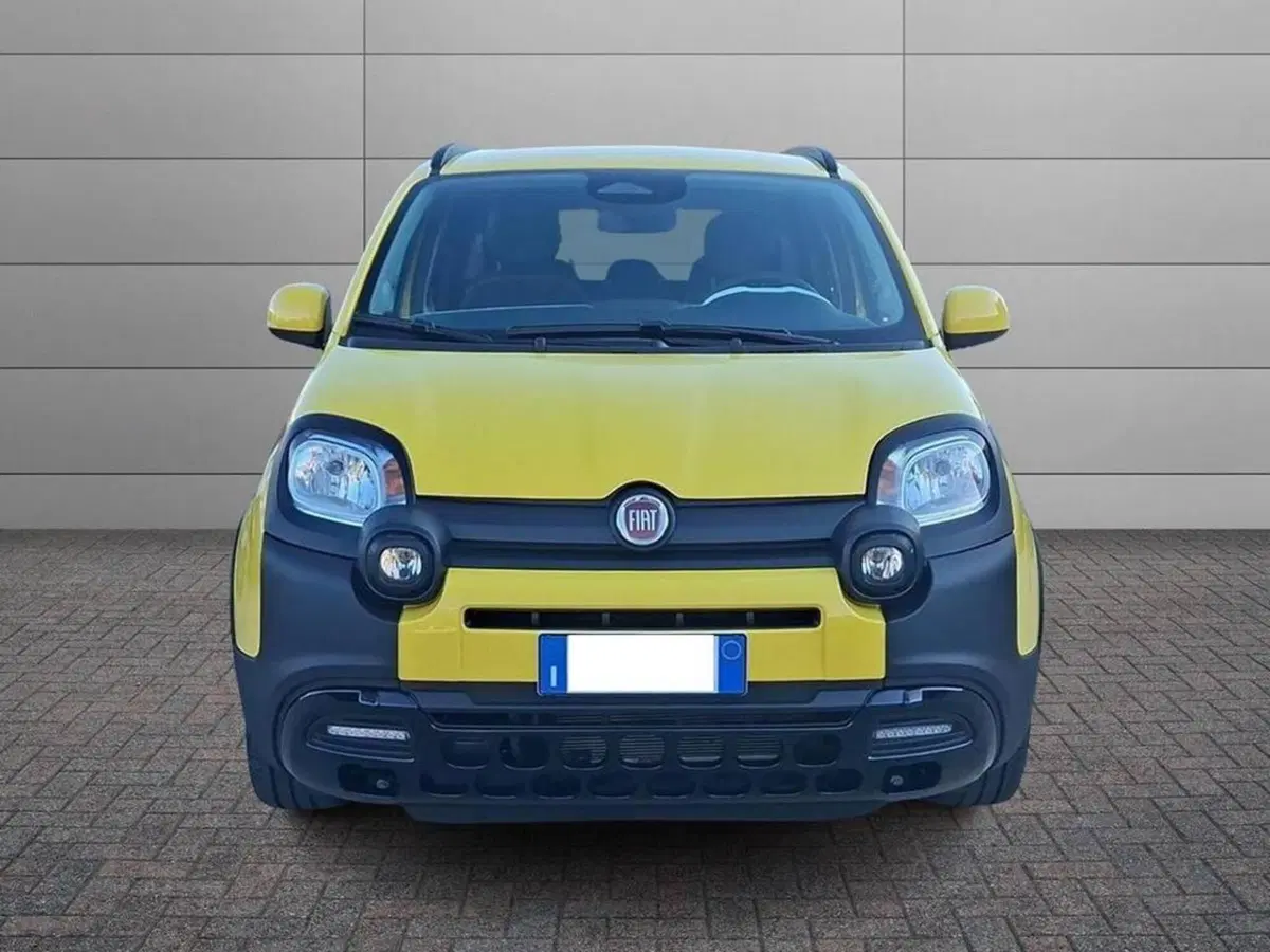 Fiat Pandina usata a Torino (3)