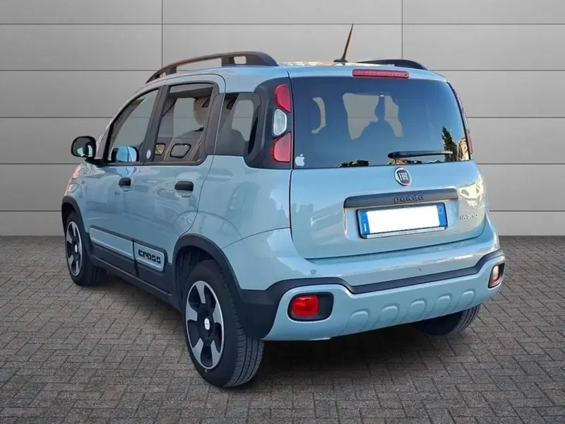 Fiat Panda usata a Torino (2)