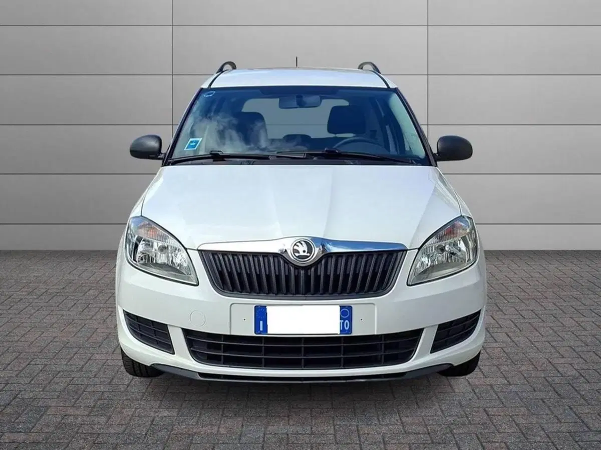 Skoda Roomster usata a Torino (3)