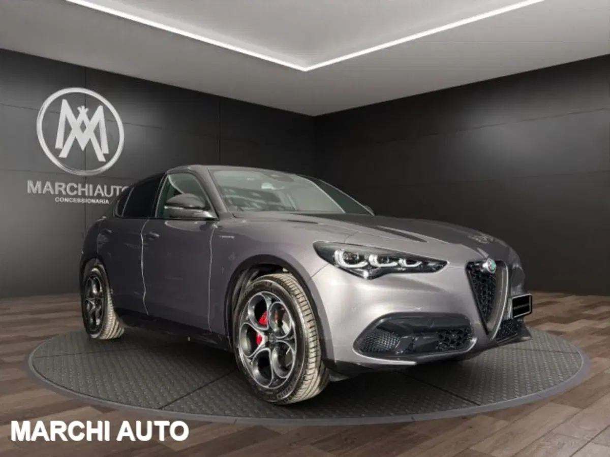 Alfa Romeo Stelvio nuova a Perugia (3)